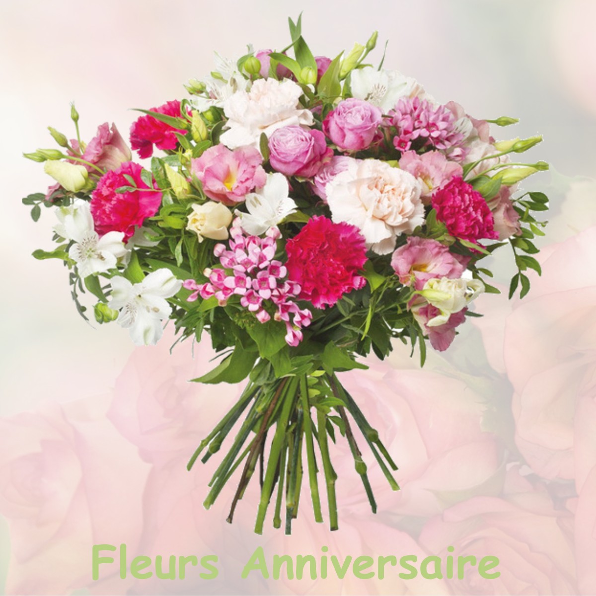 fleurs anniversaire NEUF-MARCHE